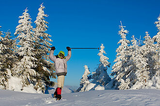 Bayerischer Wald